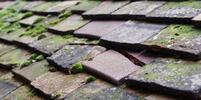 Westry roof repair costs